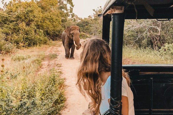 Instagramble Sri Lanka - 7 Days