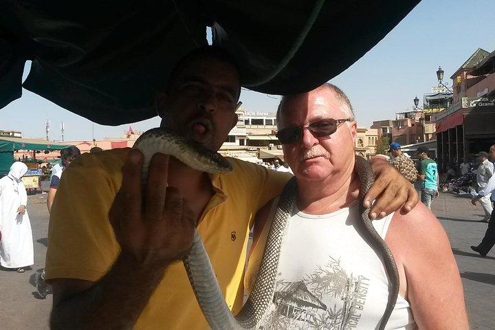 Marrakech day trip from Agadir & Taghazout