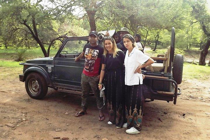 Ranthambore Tiger Safari Day Trip from Jaipur – All Inclusive