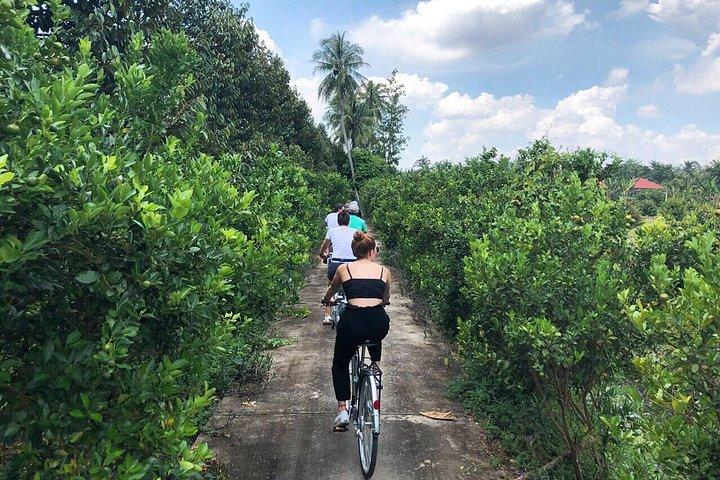 Non-Touristy Mekong Delta with Biking in Ben Tre Private Tour