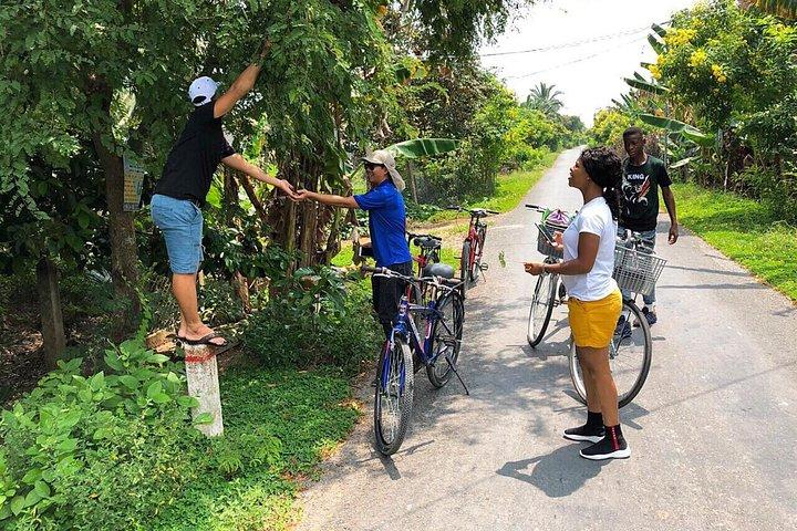 Non-Touristy Mekong Delta with Biking in Ben Tre Private Tour