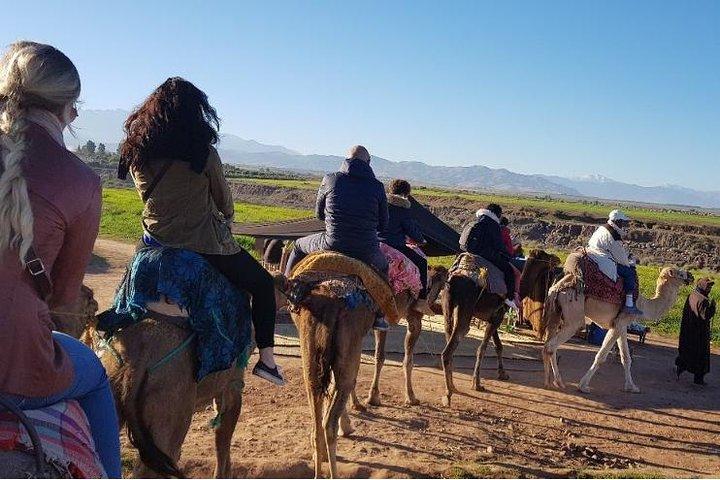 Desert Agafay camel ride atlas mountains hike all-inclusive