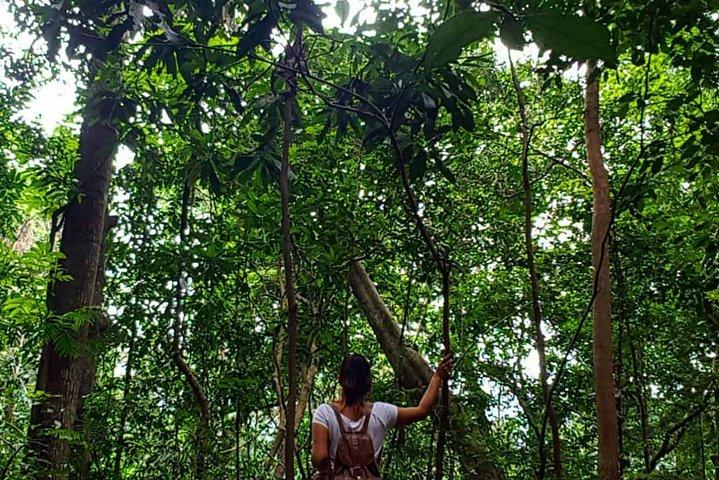 Private Bird watching and Nature trekking in Udawatta Kele Sanctuary