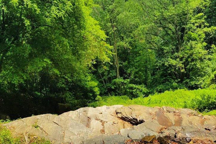 Private Bird watching and Nature trekking in Udawatta Kele Sanctuary