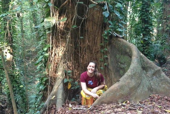 Private Bird watching and Nature trekking in Udawatta Kele Sanctuary