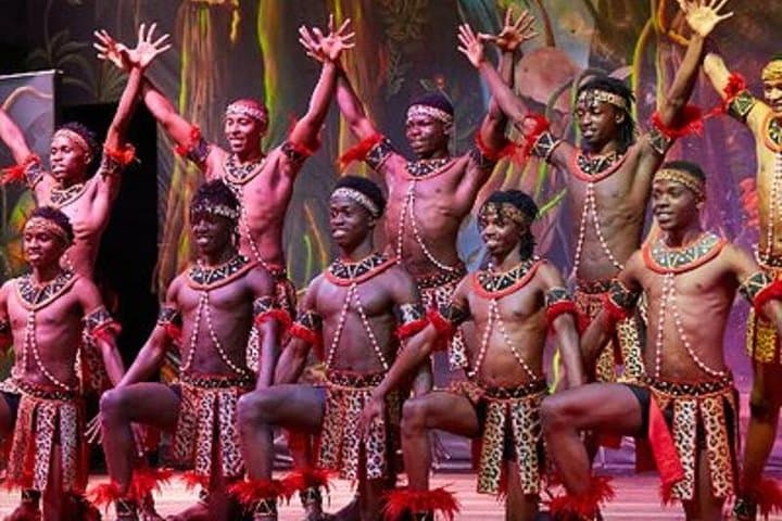 Nairobi dinner and safari cat dancers