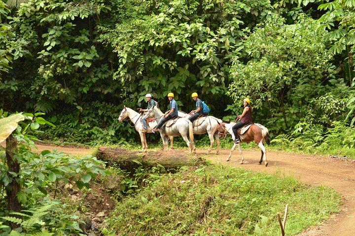Manuel Antonio National Park by Horseback Riding Tour