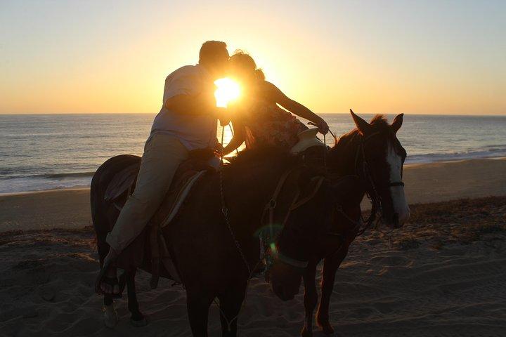 Cabo Desert Off-Road & Beach Horseback Combo and Tequila Tasting
