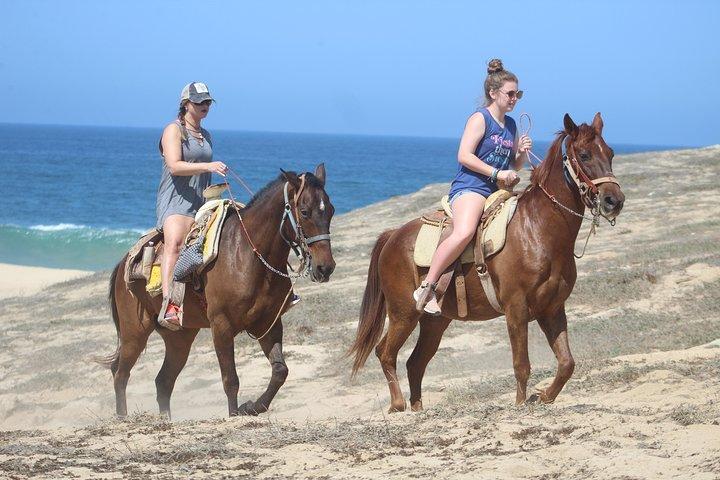 Cabo Desert Off-Road & Beach Horseback Combo and Tequila Tasting