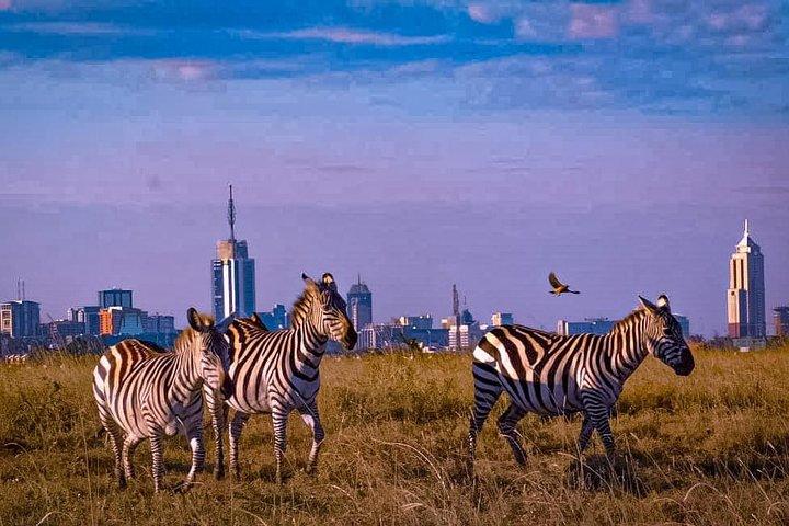 Nairobi: 5-Hour Nairobi National Park Safari Game Drive