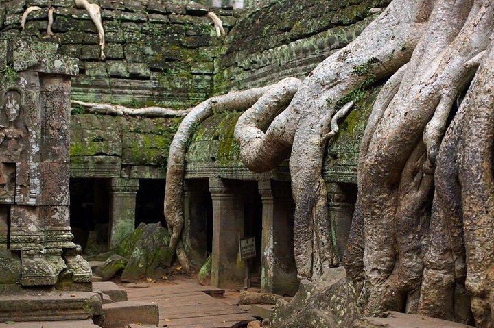Private Day Tour Angkor Temples Adventure