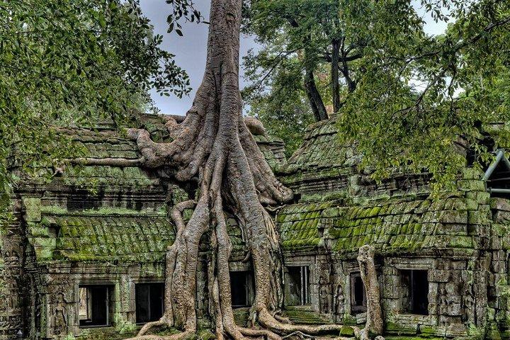 Private Day Tour Angkor Temples Adventure
