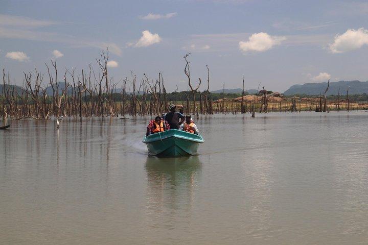 Live among swimming elephants and indigenous tribes – Gal Oya National Park