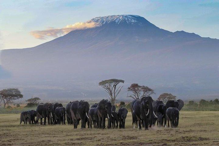 Machame 6 Days Kilimanjaro Climb