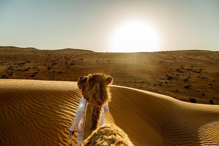Wahiba Sands&Wadi Bani Khalid desert Safari(Muscat tours) :Outdoor activity