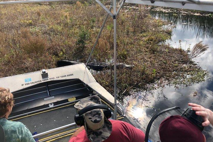 1 Hour Everglades Airboat Tour Orlando Florida