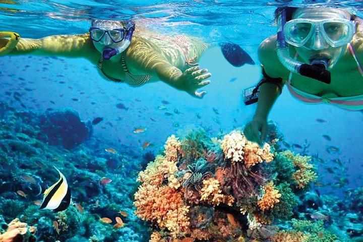 Isla Mujeres tour in a Catamaran with snorkel, open bar, lunch