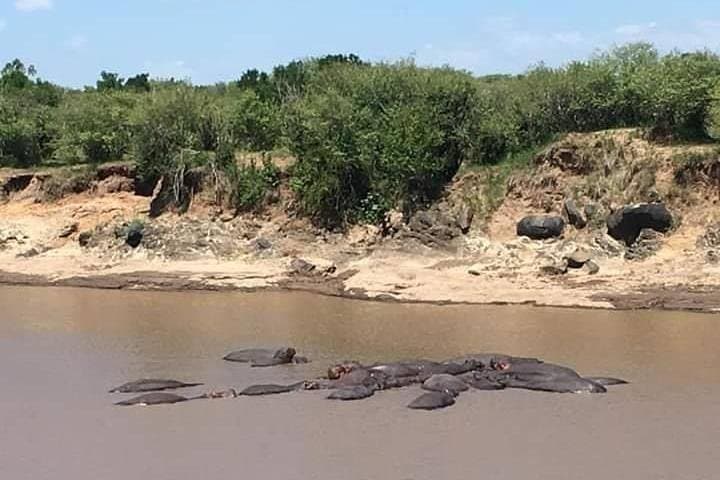 3-DAY Best Maasai Mara Safari (POPULAR)