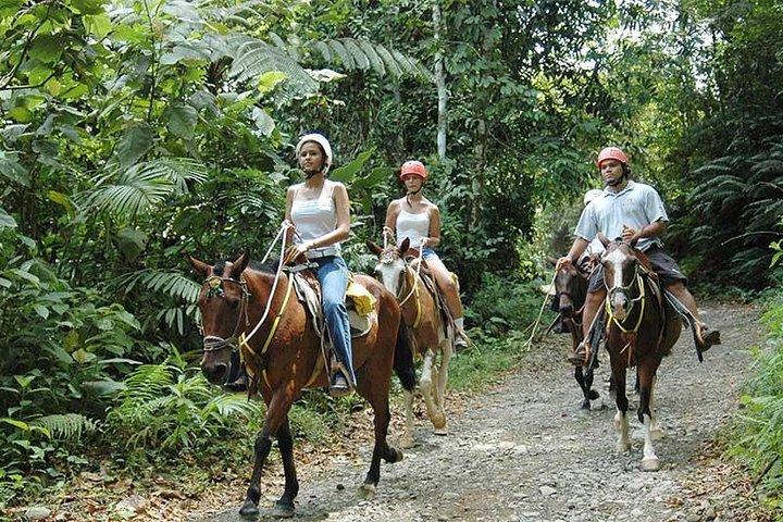 Manuel Antonio National Park by Horseback Riding Tour