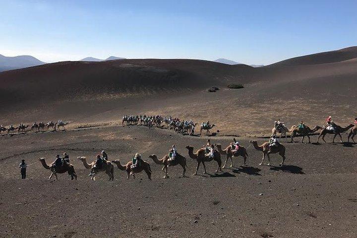 Timanfaya & Lanzarote Volcano Experience