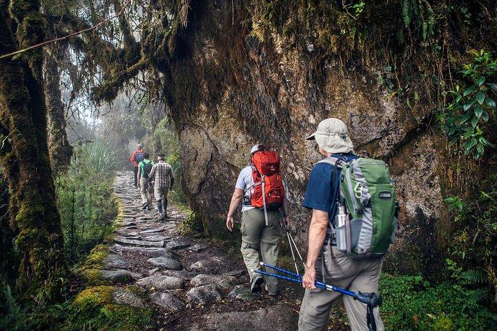 Machu Picchu Private Tour: Expert Guide & Top Photo Spots