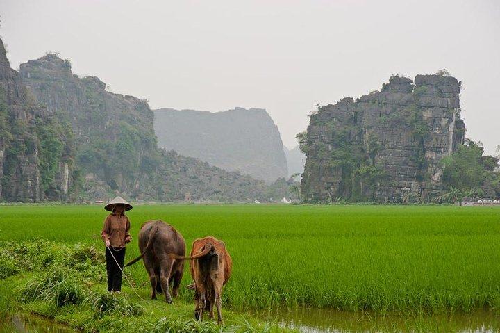 Eco Hoa Lu - Hang Mua Grotto - Trang An Boat tour from Hanoi
