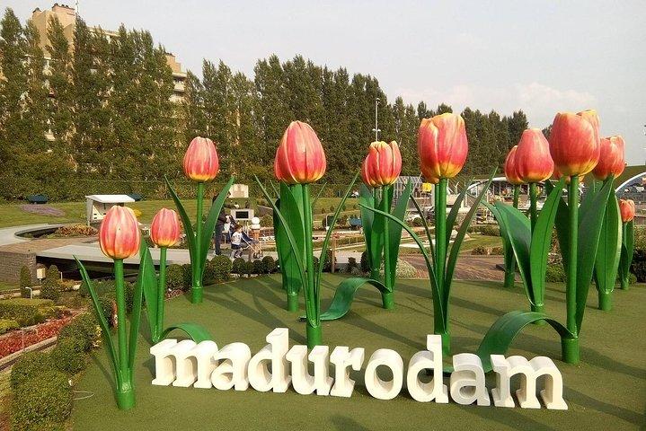 Private Delft and The Hague Tour incl. Madurodam from Amsterdam