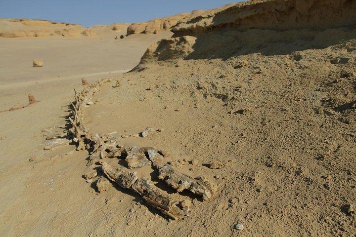 6-Day Tour of Cairo, Alexandria and Fayoum