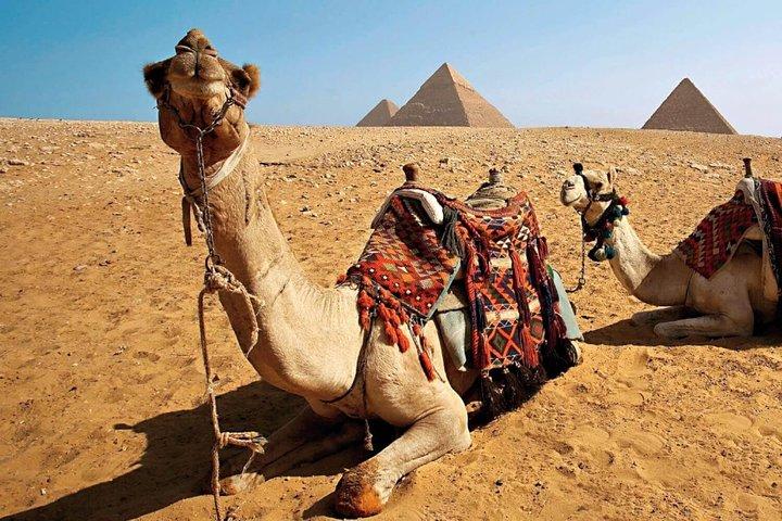 Private Tour With Camel Ride During The Sunset With Barbecue Dinner