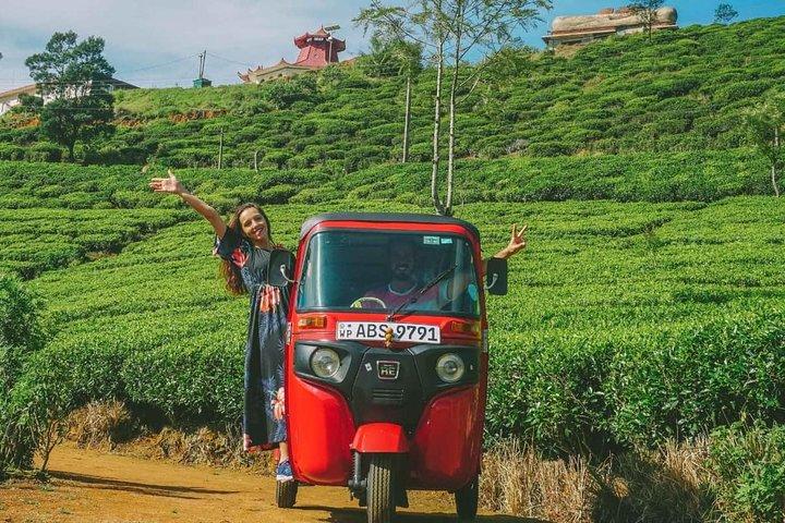 Kandy City Tour by Tuk Tuk