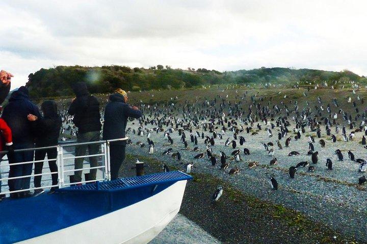 Ushuaia: Beagle Channel Navigation to the Penguin Colony