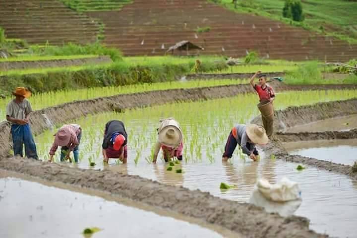 Chiang Mai: Fantastic Doi Inthanon National Park Tour & 2-Hr Trek