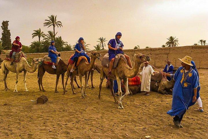 Camel Ride Tour in Marrakech