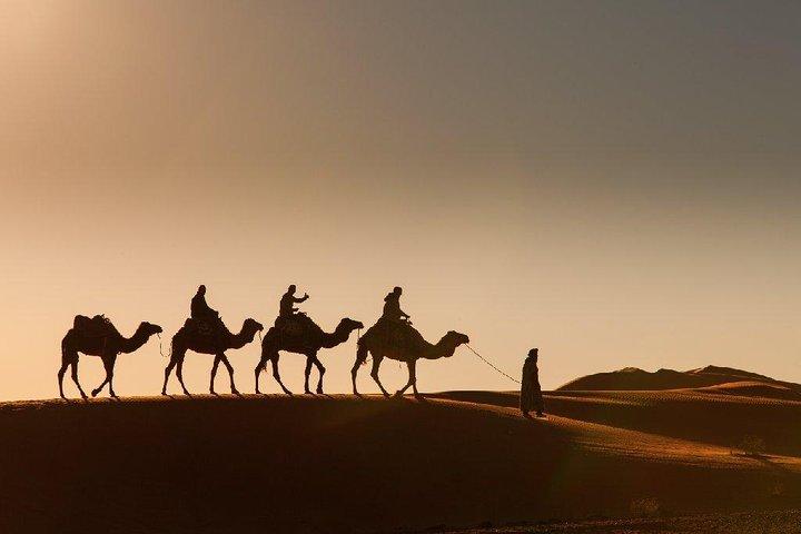 3-Day Desert Experience from Marrakech