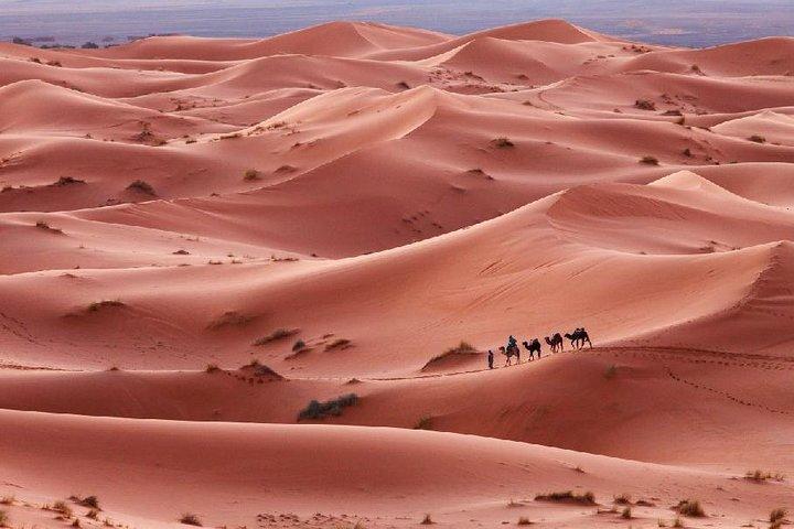 3-Day Desert Experience from Marrakech