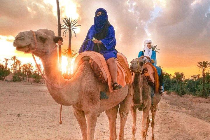 Camel Ride Tour in Marrakech
