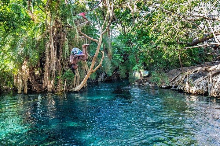 MATERUNI waterfalls, coffe tour & kikuletwa hotsprings