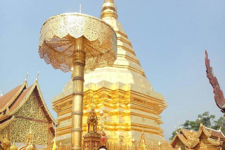 Chiang Mai Private Tour with Tea Plantation, Karen Village, Doi Suthep