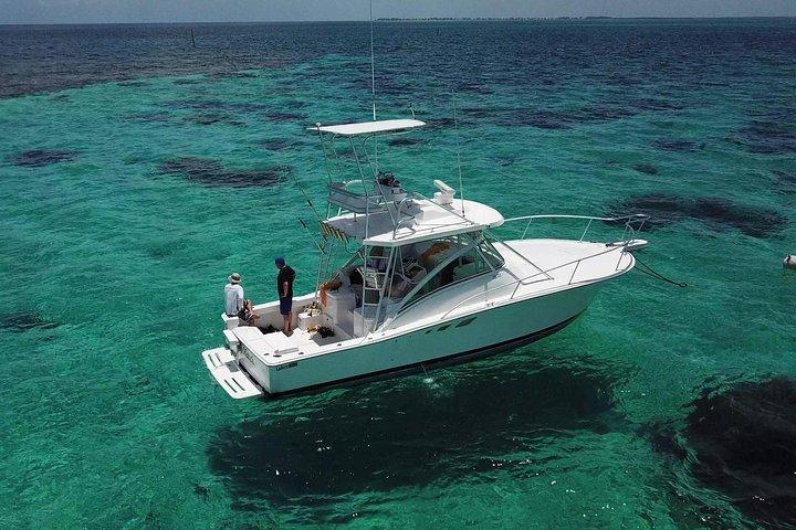 Private Charter 34ft Express Cruiser Stingay City Reef Snorkeling