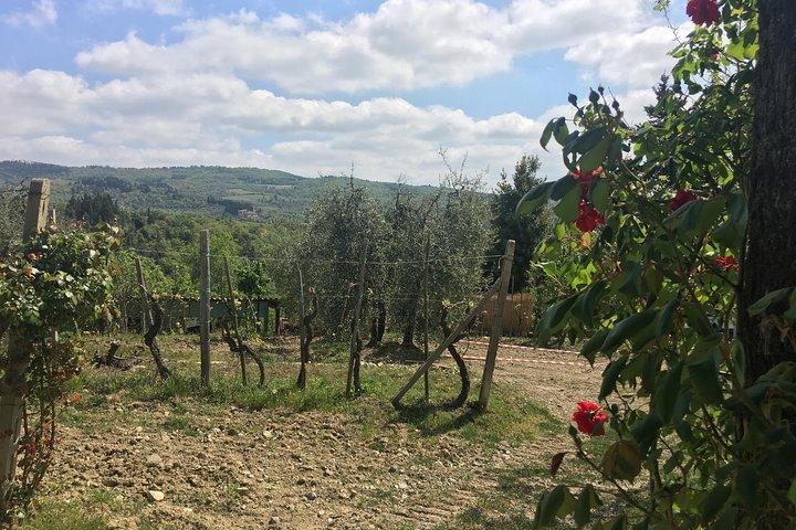 Sunset VIP Chianti wine tour