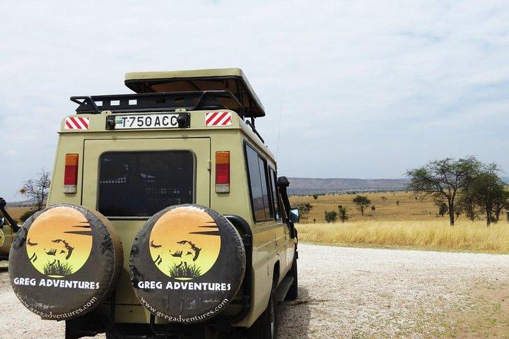 06 Days, 05 Nights Safari To Tarangire, Lake Manyara, Serengeti And Ngorongoro