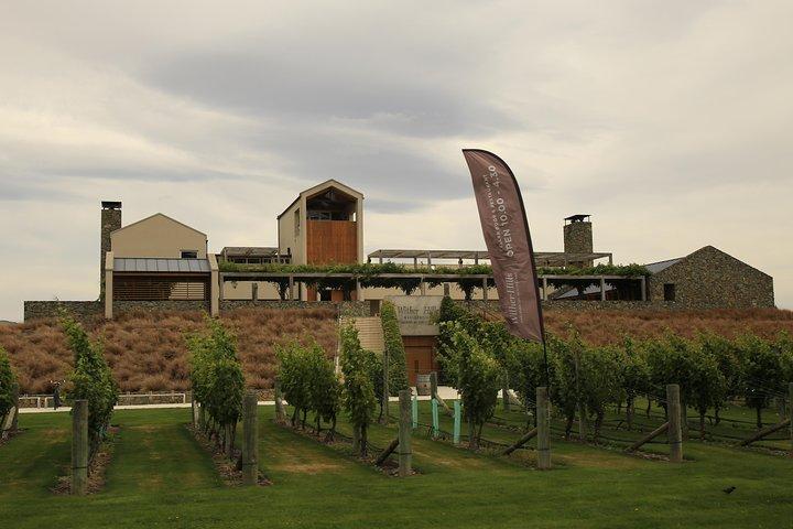 CRUISE SHIP DAY Marlborough Hop On Hop Off Wine Tours