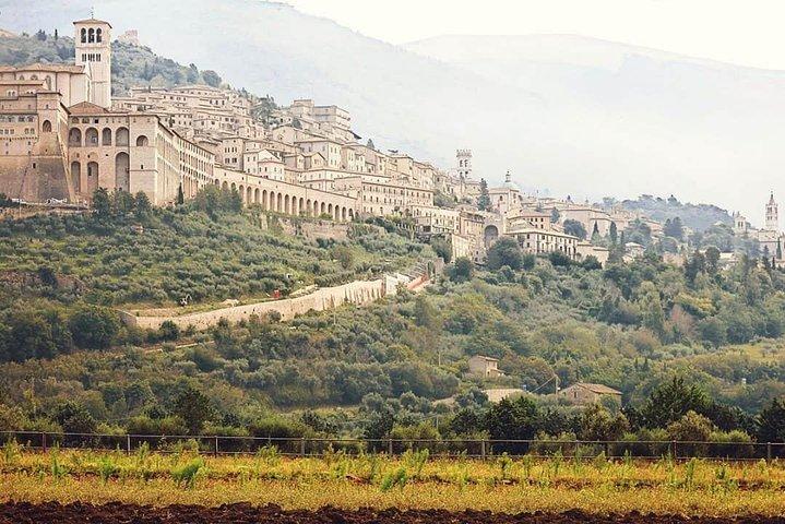 Full Day Assisi from Rome