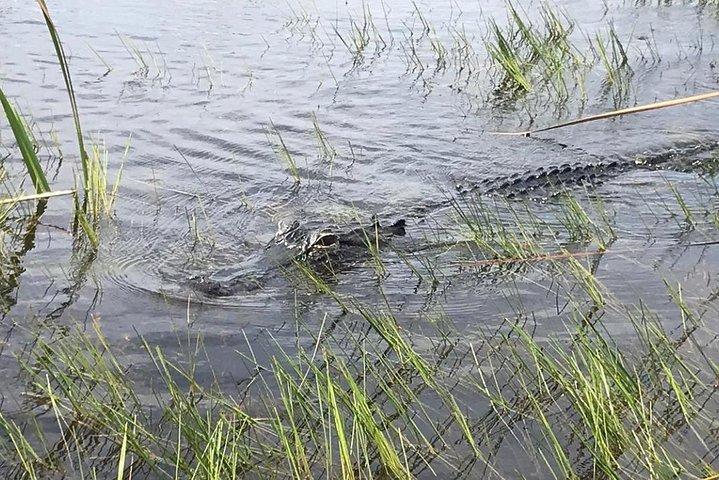Everglades Airboat Safari Adventure with Transportation