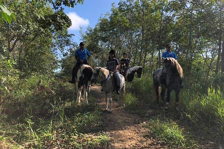 Horseback Riding 1 hour trail
