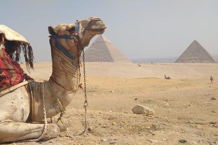 Best Private Tour to the Pyramids,Egyptian Museum & Bazaar& Camel Ride and Lunch