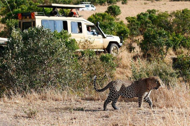 4 Days Aberdare, Lake Nakuru, Lake Naivasha Safari (minimum 2 persons)