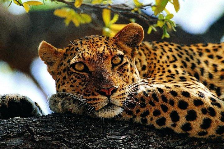3 days camping safari