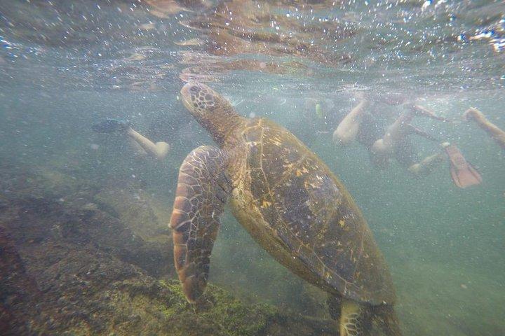 9-Day Galapagos Island Hopping Tour | 3 Iconic Islands