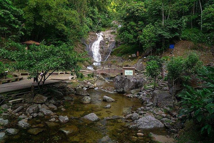 Cameron Highlands One Day Trip from Kuala Lumpur Privately Organised
